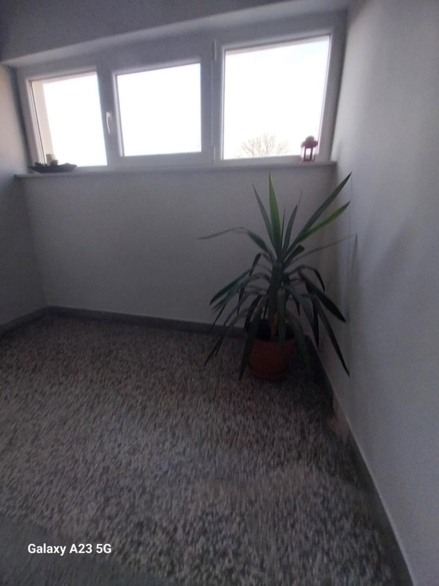 Apartman Bloom 奥西耶克 外观 照片